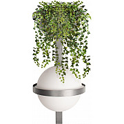 Настенный светильник Jardin 10121W/B Dark grey