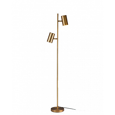 Торшер Ashes V11332-2F