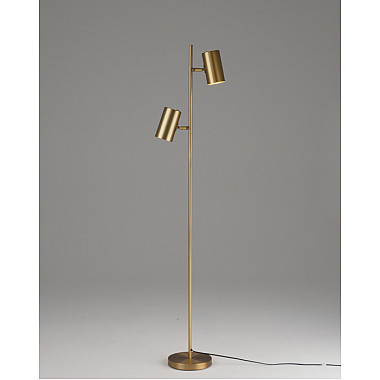 Торшер Ashes V11332-2F