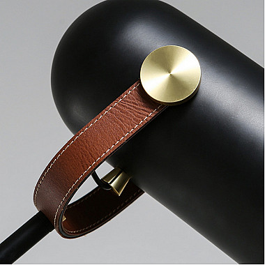 Торшер Dana LC-11-0012