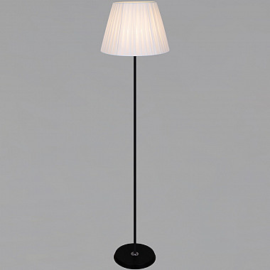 Торшер 08088-0.6-01 BK