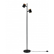 Торшер Asheswood V11287-2F