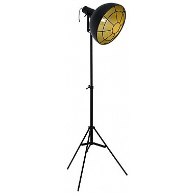 Торшер Cannington 49674