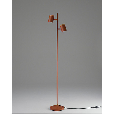 Торшер Asheswood V11289-2F