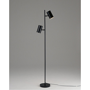 Торшер Ashes V11329-2F