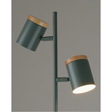 Торшер Asheswood V11290-2F