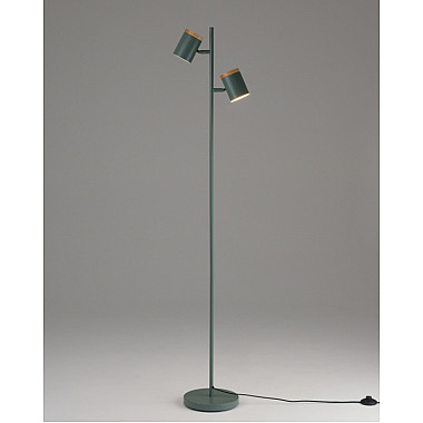 Торшер Asheswood V11290-2F