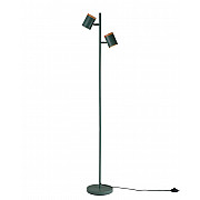 Торшер Asheswood V11290-2F