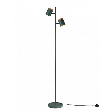 Торшер Asheswood V11290-2F