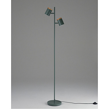 Торшер Asheswood V11290-2F