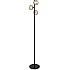 Торшер Shimmer FR5435FL-03B