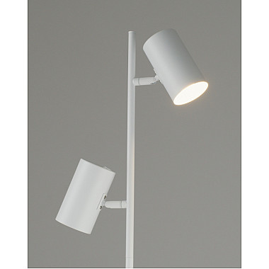 Торшер Ashes V11331-2F