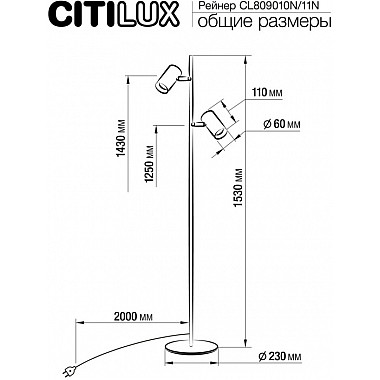 Торшер Twin CL809010N