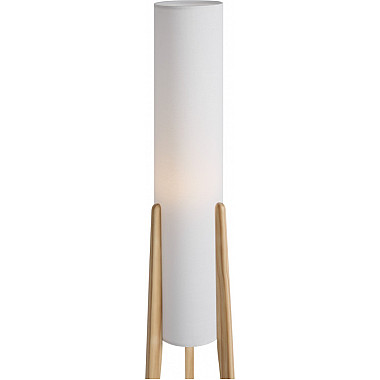 Торшер Bliss FR5543FL-01T