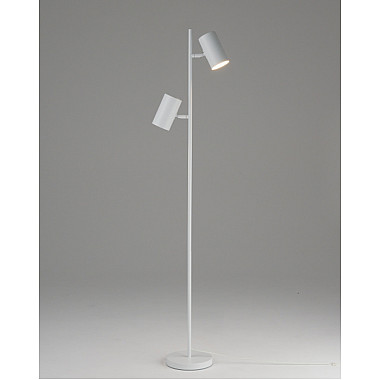 Торшер Ashes V11331-2F