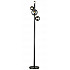 Торшер Indigo Canto 11026/4F Black V000244