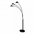 Торшер Lumina Deco Wallscot LDF 8801-3 BK
