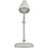 Офисная настольная лампа NLED-515-4W-W