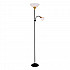 Торшер Arte Lamp Duetto A9569PN-2BK