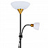 Торшер Arte Lamp Duetto A9569PN-2BK