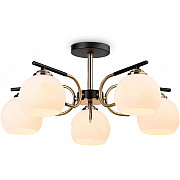 Потолочная люстра TRADITIONAL TR303312