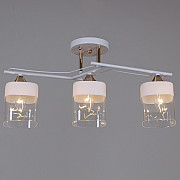 Потолочная люстра 06096-0.3-03 WH+FG
