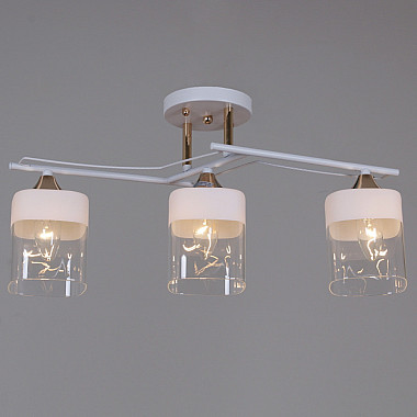 Потолочная люстра 06096-0.3-03 WH+FG