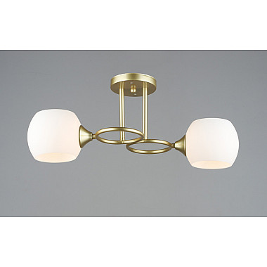 Потолочная люстра SL1N 000065842