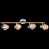 Спот 05949-0.8-04 CR+GOLD
