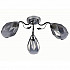 Потолочная люстра Rivoli Hillary 9103-303 Б0053407
