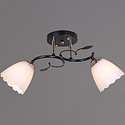 Потолочная люстра 10134-0.3-02 BK+FG