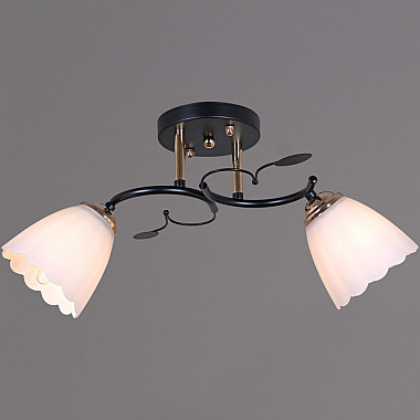 Потолочная люстра 10134-0.3-02 BK+FG