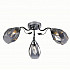 Потолочная люстра Rivoli Hillary 9103-303 Б0053407