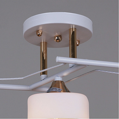 Потолочная люстра 06096-0.3-03 WH+FG