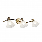 Спот Paola FR7001WL-03BZ