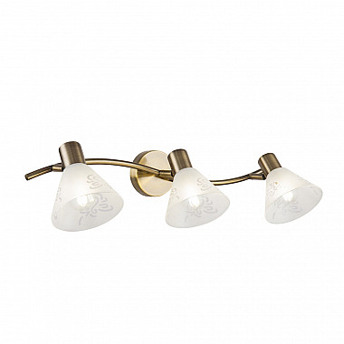 Спот Paola FR7001WL-03BZ