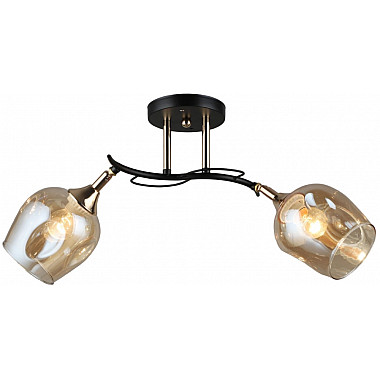 Потолочная люстра SS1N 000054526