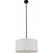 Потолочная люстра Idea 10186/1S