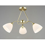 Потолочная люстра SL1N 000066040