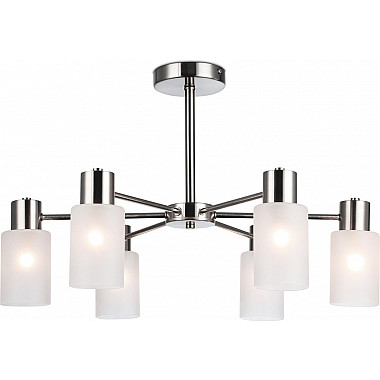 Потолочная люстра Traditional TR9572