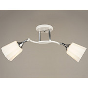 Потолочная люстра SS1N 000029971