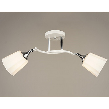 Потолочная люстра SS1N 000029971