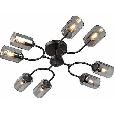 Потолочная люстра V2823-1/8PL