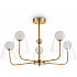 Потолочная люстра Doublety FR5382PL-05BS
