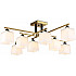 Потолочная люстра TRADITIONAL TR303044
