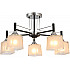 Потолочная люстра Baker 81454/5C