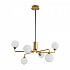 Потолочная люстра Alexis FR5120PL-06G