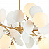 Подвесная люстра Lumien Hall Ilmari LH4136/12P-GD-WT