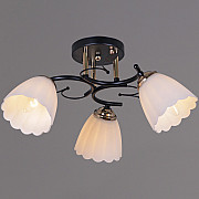 Потолочная люстра 10134-0.3-03 BK+FG