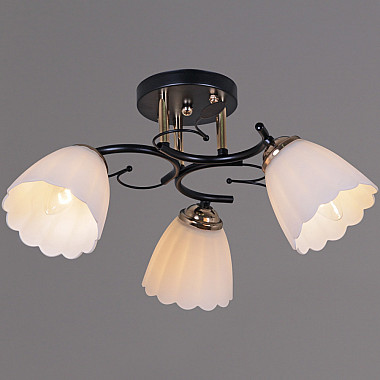 Потолочная люстра 10134-0.3-03 BK+FG